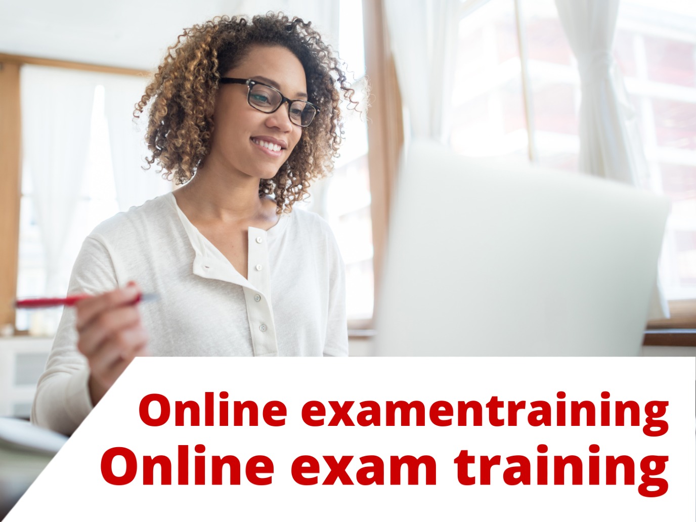 Online Exam Training: State Exam NT2-II