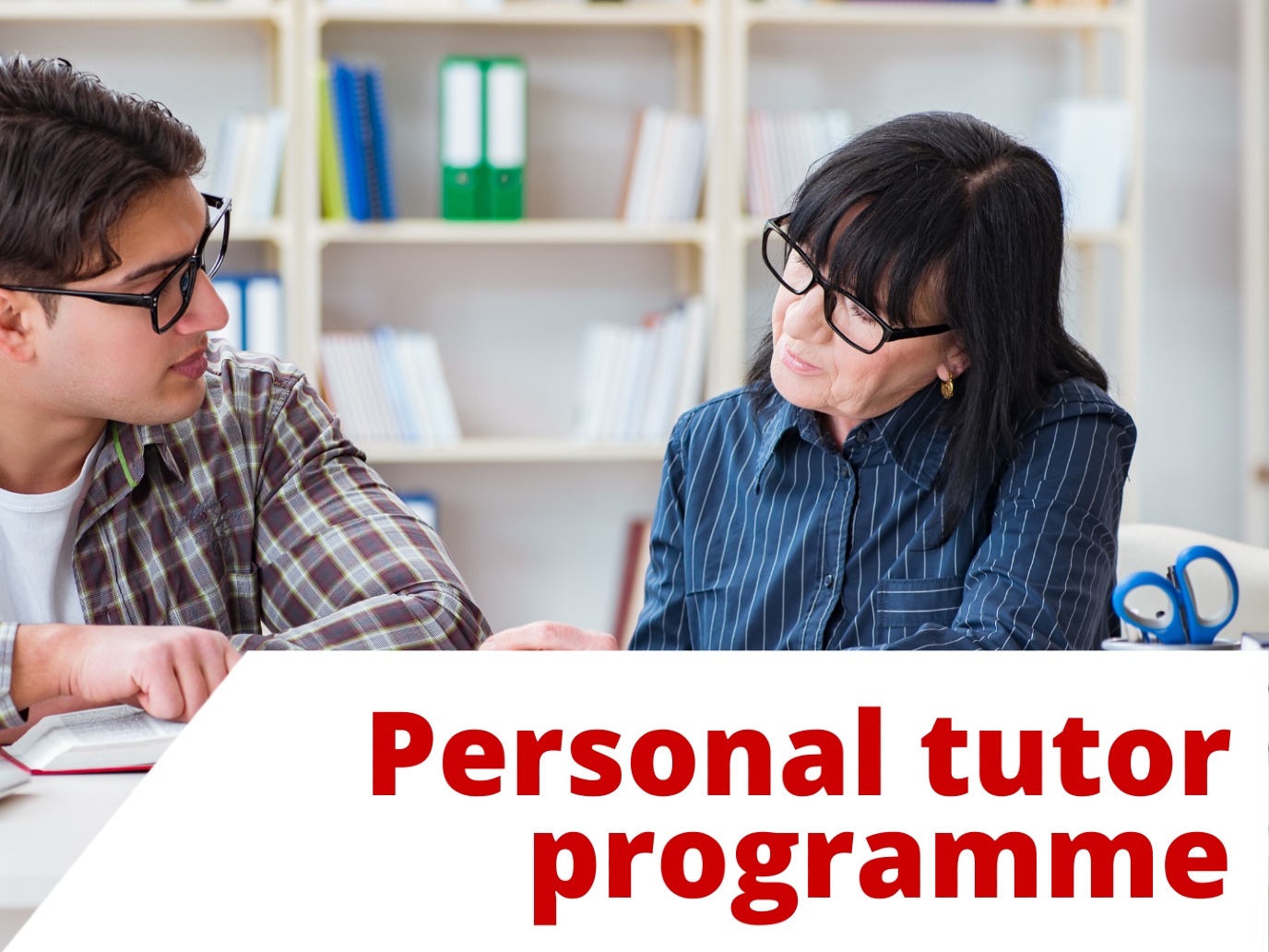 Personal tutor programme