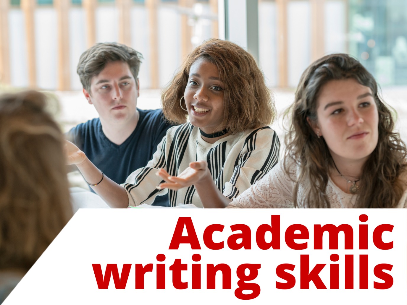 English academic writing skills