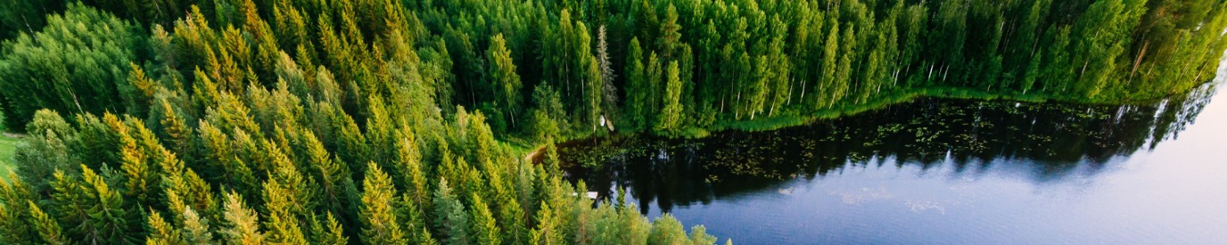 decoratieve afbeelding