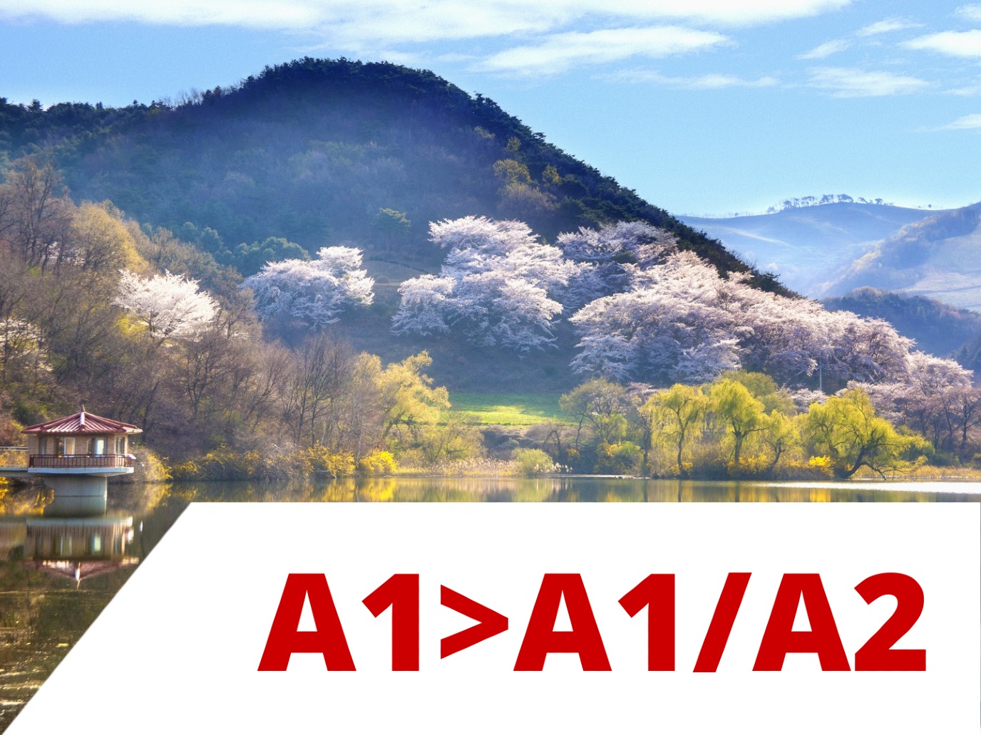 Koreaans A1>A1/A2