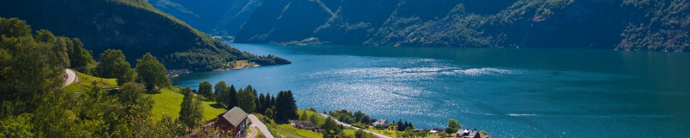 decoratieve afbeelding