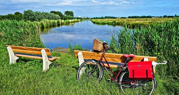 Nederlands voor moedertaalsprekers (NT1)