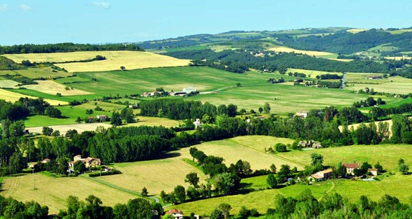 Institut Français