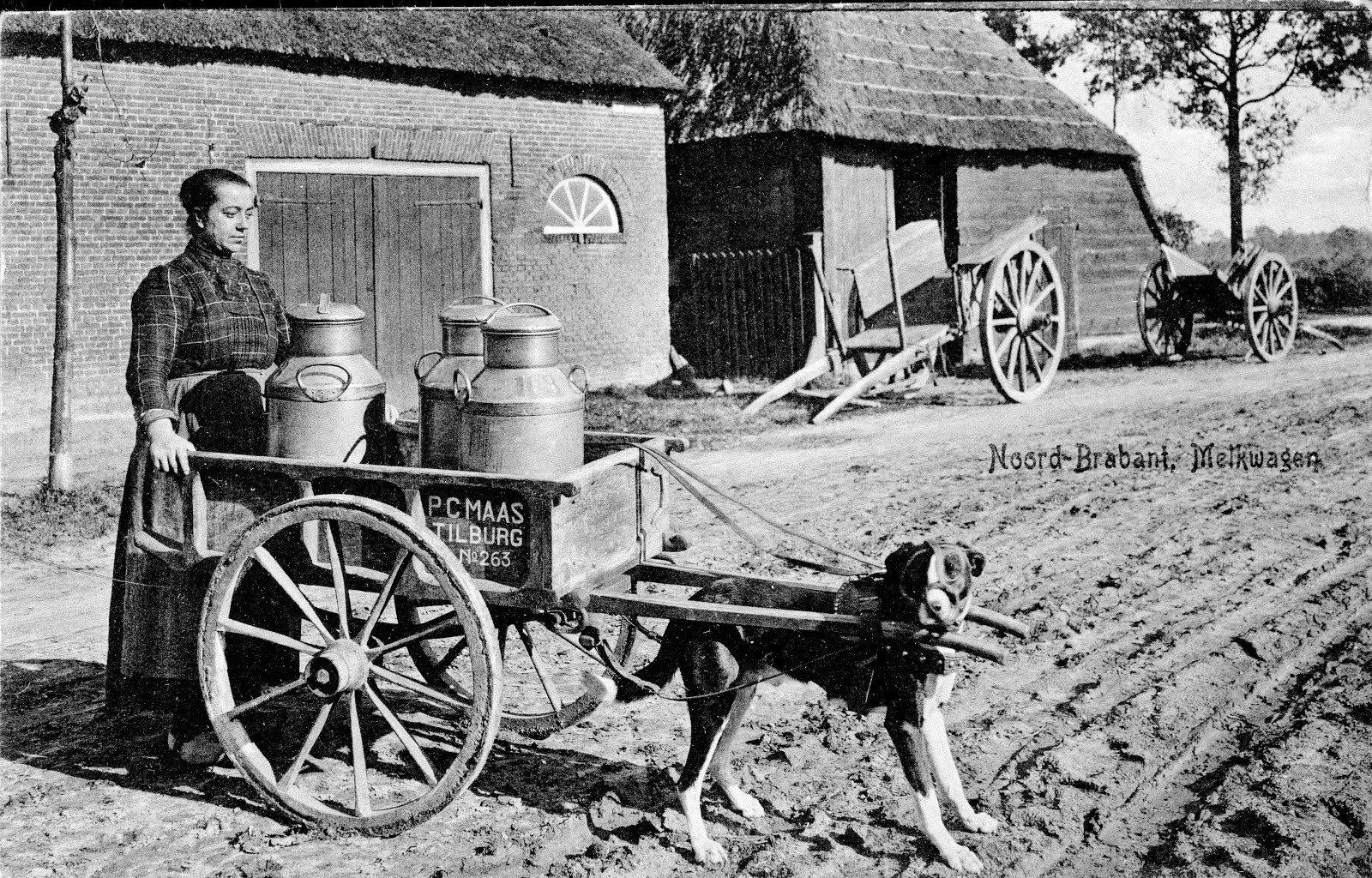 Melkwagen, Noord-BrabantMilk barrow, Noord-Brabant