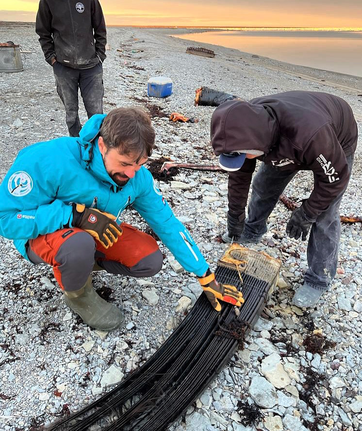 Sean Desjardins and Iniut collega's onderzoeken een balein van een Groenlandse walvis, Igloolik, Ninavut, Canada, 2022 (Foto door Matilda Siebrecht)