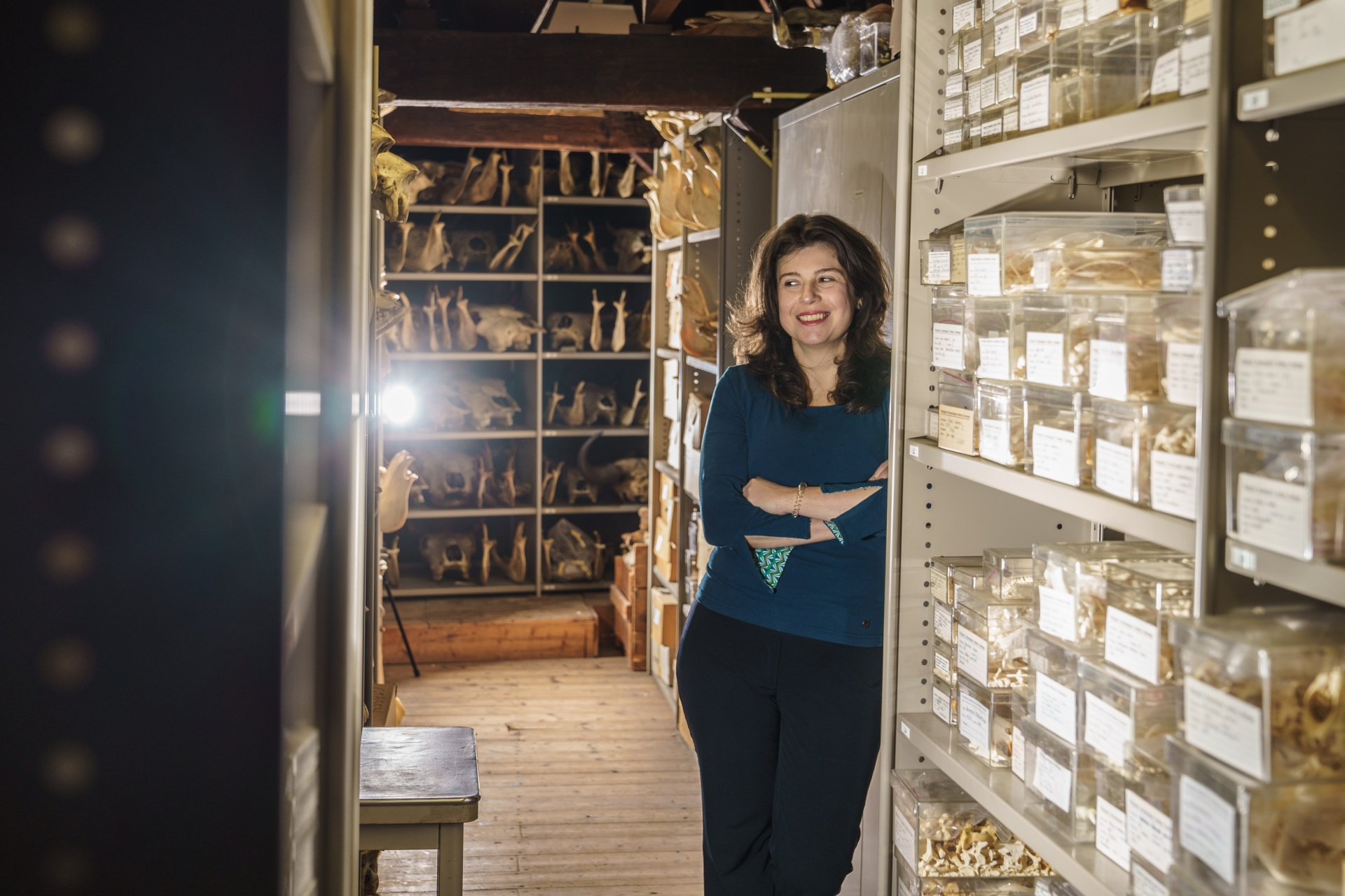 “Wetenschappelijk onderzoek schetst een gedetailleerd beeld van hoe veerkrachtige mens-dierrelaties eruit zouden kunnen zien."