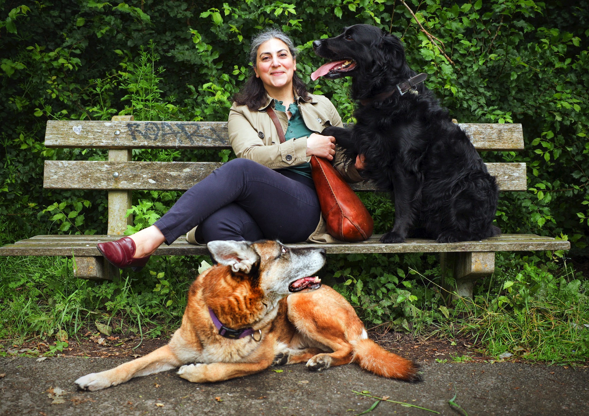 Sixteen thousand years ago, people already adored their dogs, who they kept as their companions.