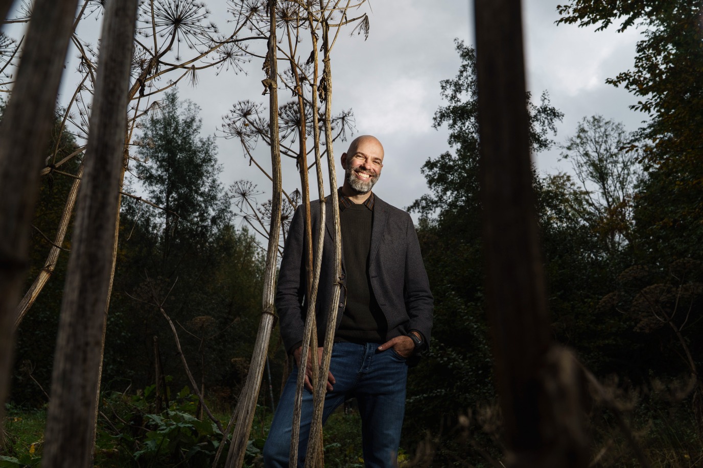 decoratieve afbeelding