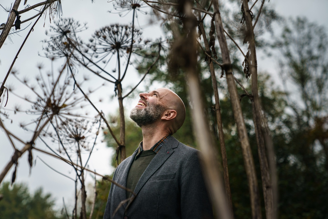 decoratieve afbeelding