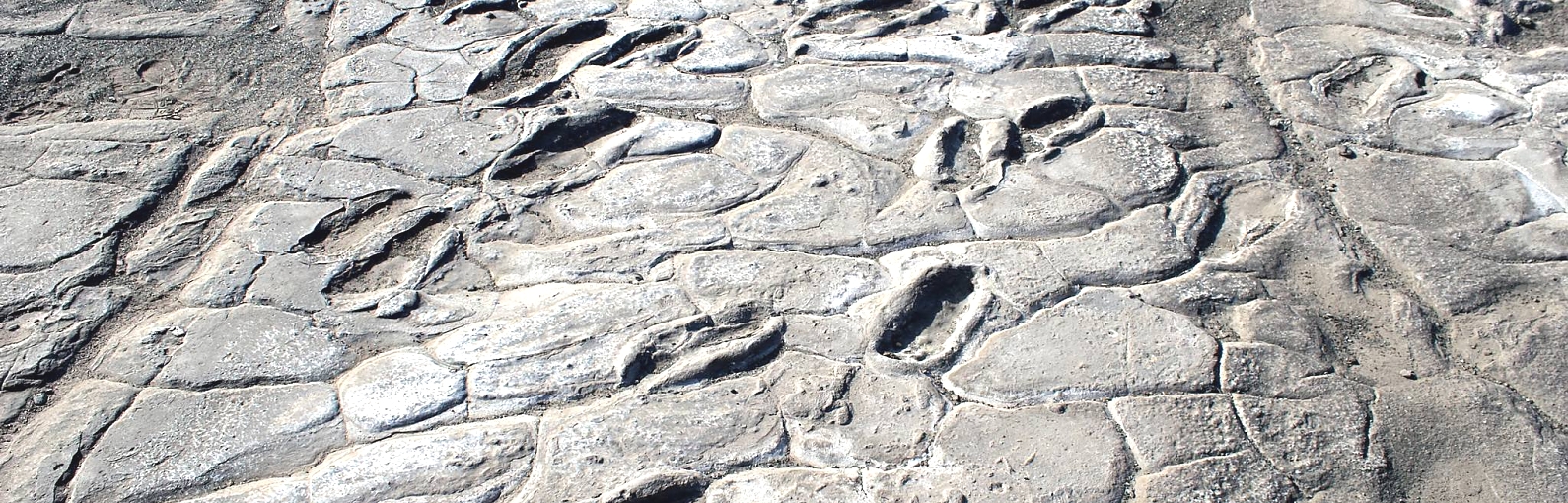 The Laetoli Footprints dated to 3.7 million years ago.