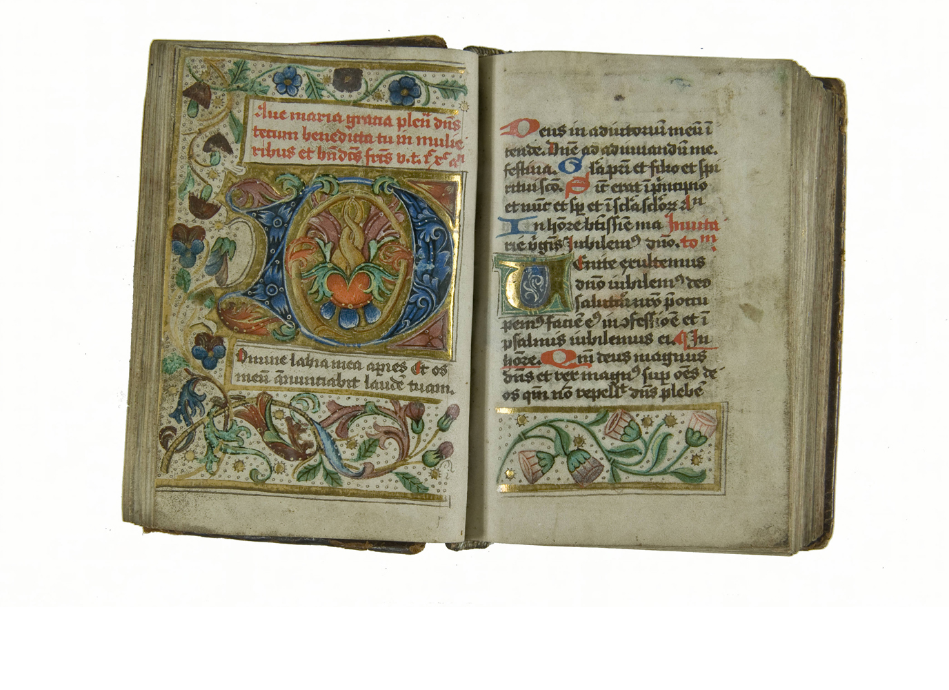 Drie van de manuscripten bevatten eenzelfde licht roze cilindrische bloem. Verder bevatten alle decoraties gouden ballen en penwerkkrullen in de achtergrond. Elk manuscript maakt daarnaast gebruik van de kleuren lila (dof roze), blauw, groen en oranje. Deze specifieke manier van decoreren is typisch Gronings. Boven: Add. 266 (ff. 17v-18r).Three of the manuscripts contain the same light pink, cylindrical flower. All the decorations contain golden balls and pen-work ringlets in the background. Similar shades of lilac (or a dull pink), blue, green and orange are used. This specific way of decorating is typical of the Groningen region. Above: Add. 266 (ff. 17v-18r).