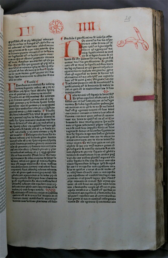Inc. 34. Bladwijzers in Avicenna's Canon medicinae.Inc. 34. Leather page tabs in Avicenna’s Canon medicinae