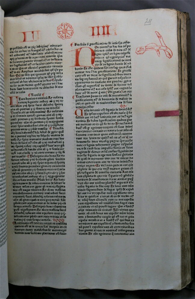 Inc. 34. Bladwijzers in Avicenna's Canon medicinae.