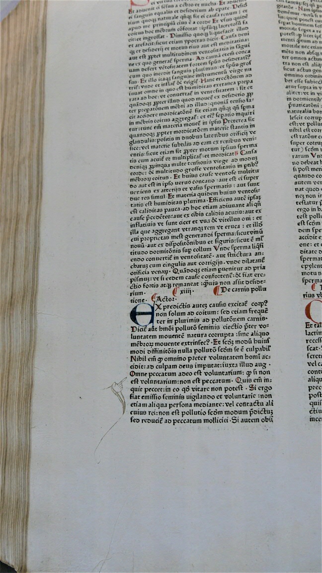 Inc. 189. Manicula in Speculum naturale van Vincent van Beauvais.