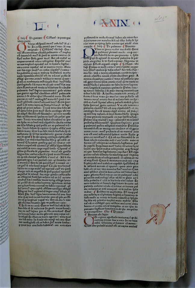 Inc. 189. Een hart doorboord met een pijl in Speculum naturale van Vincent van Beauvais.