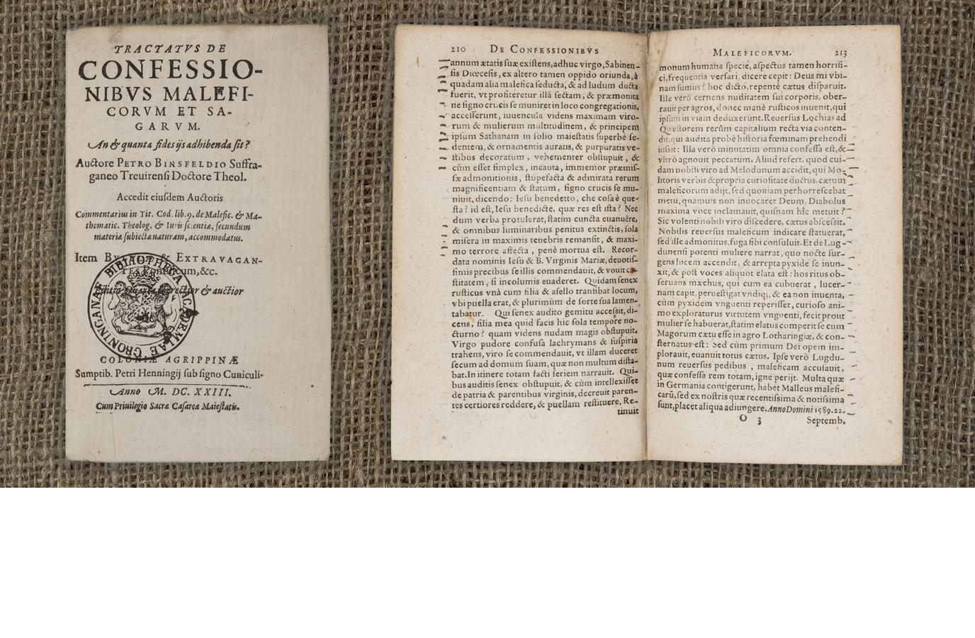 In dit exemplaar uit 1623 van Peter Binsfeld’s 'Tractatus de confessionibus maleficorum et sagarum' (1589) zien we door het hele boek kleine streepjes in de kantlijn. Deze streepjes kunnen wijzen op het belang van sommige passages in dit traktaat over de ontmaskering en vervolging van heksen en tovenaars.