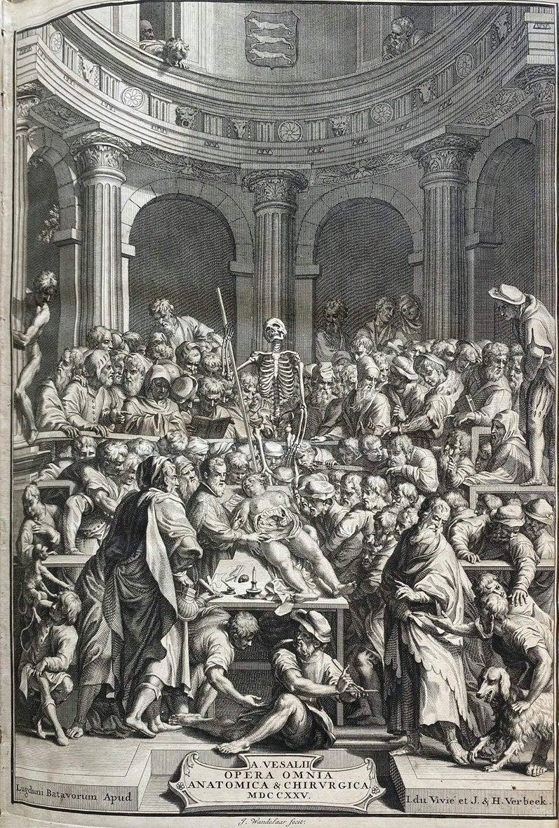 1. Anatomy lesson, Jan Wandelaar, etching and engraving, 1725. Title page from: Andreas Vesalius, Opera Omnia anatomica & chirurgica, 1725. Central to the classicist, anatomical theater is the lifeless body of a criminal, executed woman that is examined by countless male doctors. Vesalius stands to the left of the woman and dissects her body.