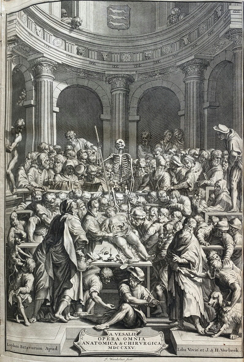 Anatomische les, Jan Wandelaar, ets en gravure, 1725. Titelblad uit: Andreas Vesalius, Opera Omnia anatomica & chirurgica, 1725. Centraal in het classicistische, anatomische theater ligt het levenloze lichaam van een criminele, geëxecuteerde vrouw dat door talloze mannelijke artsen wordt onderzocht. Vesalius staat links van de vrouw en ontleedt haar lichaam.