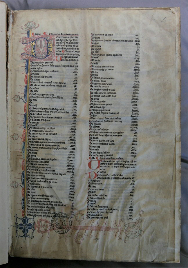 Inc. 189. Parchment manuscript leaves in a copy of Vincent of Beauvais’ Speculum naturale