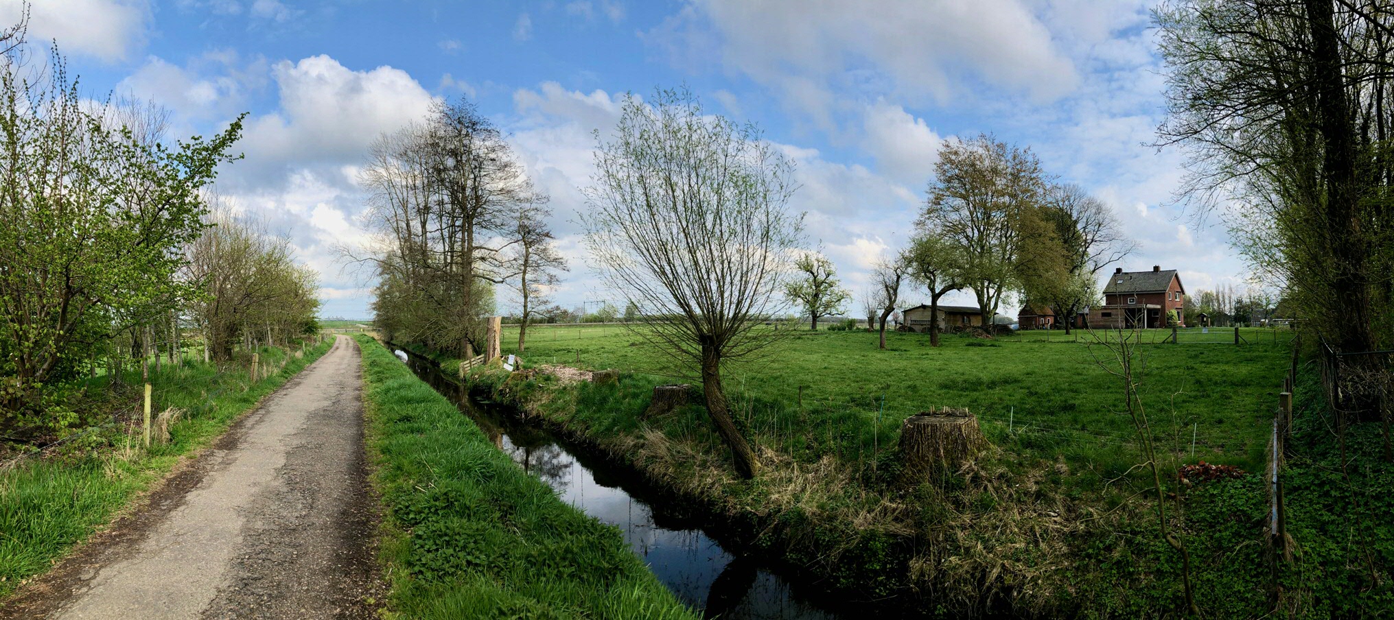 Essen in April 2021. This ditch is all that remains of the canal that used to run around the convent. The canal was linked to the Hunze river. The convent stood on the land to the right of the ditch shown here.