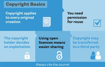 Infographic Copyright information point