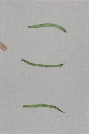 John Baldessari: Choosing Green Beans, 1972