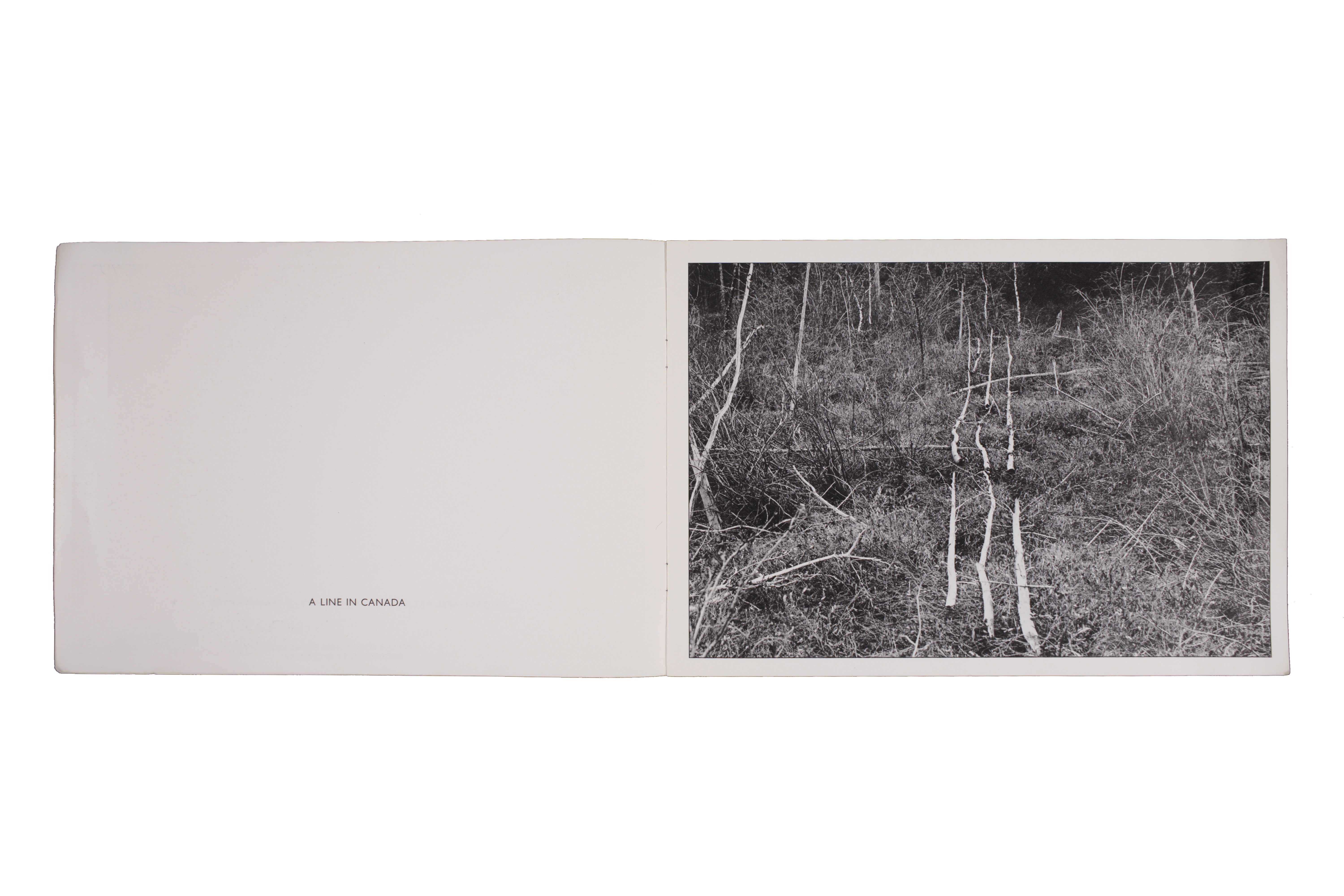 Richard Long: North Woods, 1977