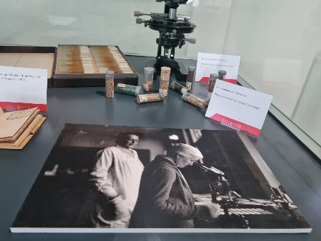 Tentoonstelling: Jantine Tammes