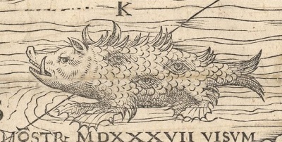 Olaus Magnus' Monstrous Creatures