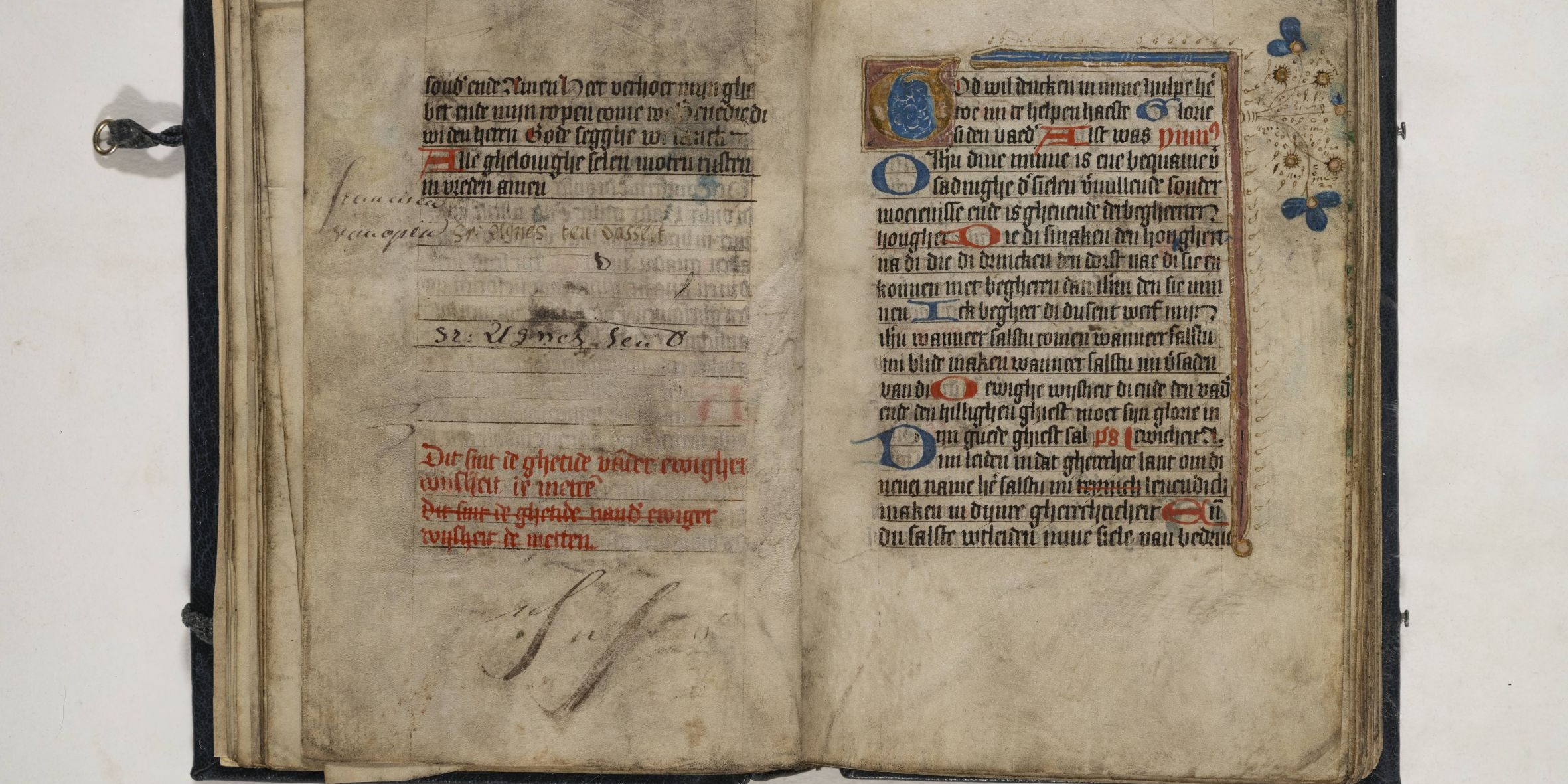 Vrouwen in de Bijzondere Collecties