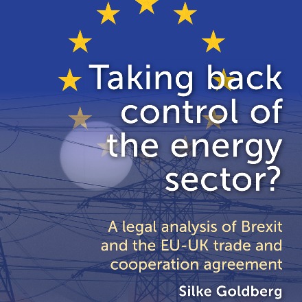 New UGP publication: Taking back control of the energy sector?