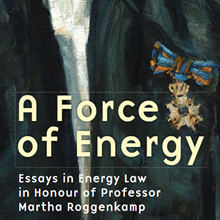 New UGP publication: a Liber Amicorum for Martha Roggenkamp