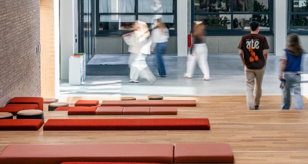 Studeren in de bibliotheek
