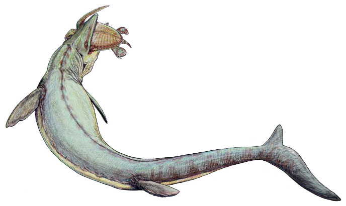 mosasaurus