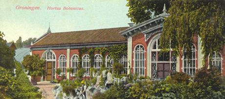 Ansichtkaart van de Hortus Botanicus te Groningen, begin 20ste eeuw