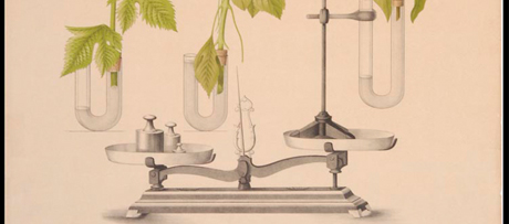 Onderwijsplaat van een proefopstelling waarmee de mate van transpiratie bij planten kan worden gemeten, 1897