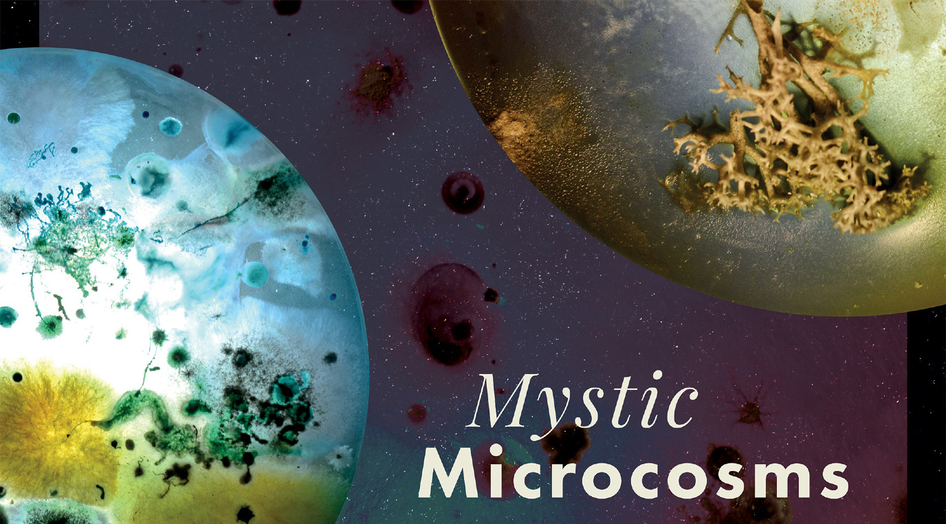 decoratieve afbeelding