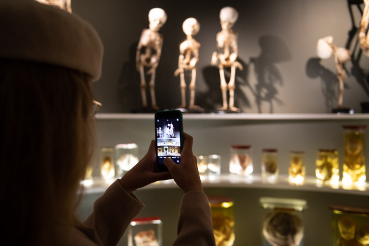Anatomy room