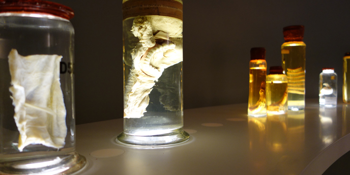 Anatomy room
