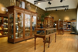 Museum's gallery