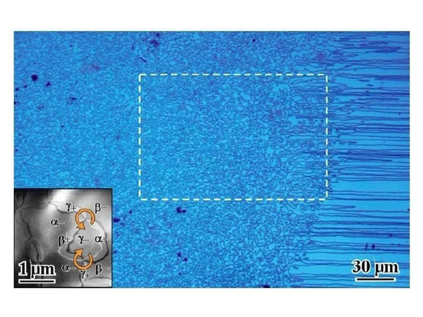 Topological defects on the surface of hexagonal manganite crystal. Source: S. C. Chae et al. Self-organization, condensation, and annihilation of topological vortices and antivortices in a multiferroic. PNAS 107, 21367 (2010).