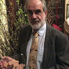 Eenjarige masteropleidingen