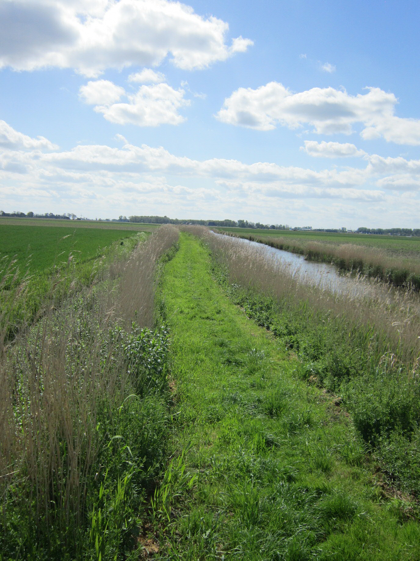 Van der Vaart hield wandelinterviews in en rond Pingjum.