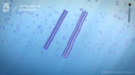 Animation of the stack-forming system | Illustration Otto Lab