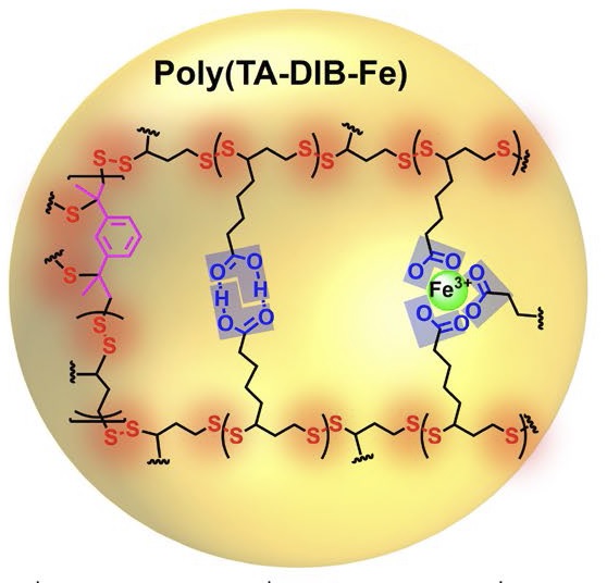 Weergave van het gestabiliseerde polymeerRepresentation of the stabilized polymer network