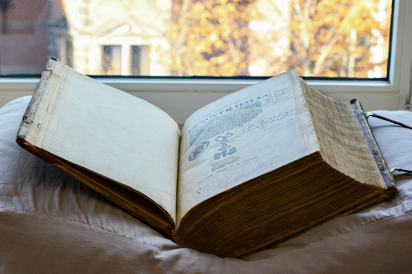 De Lutherbijbel. Dit exemplaar van de Bijbeluitgave van Erasmus is in het bezit geweest van zowel Luther als Praedinius. Beide heren schreven hun commentaar in de kantlijn.Luther's Bible. This copy of Erasmus’ Bible translation was owned by Luther and Praedinius, who both wrote comments in the margin.