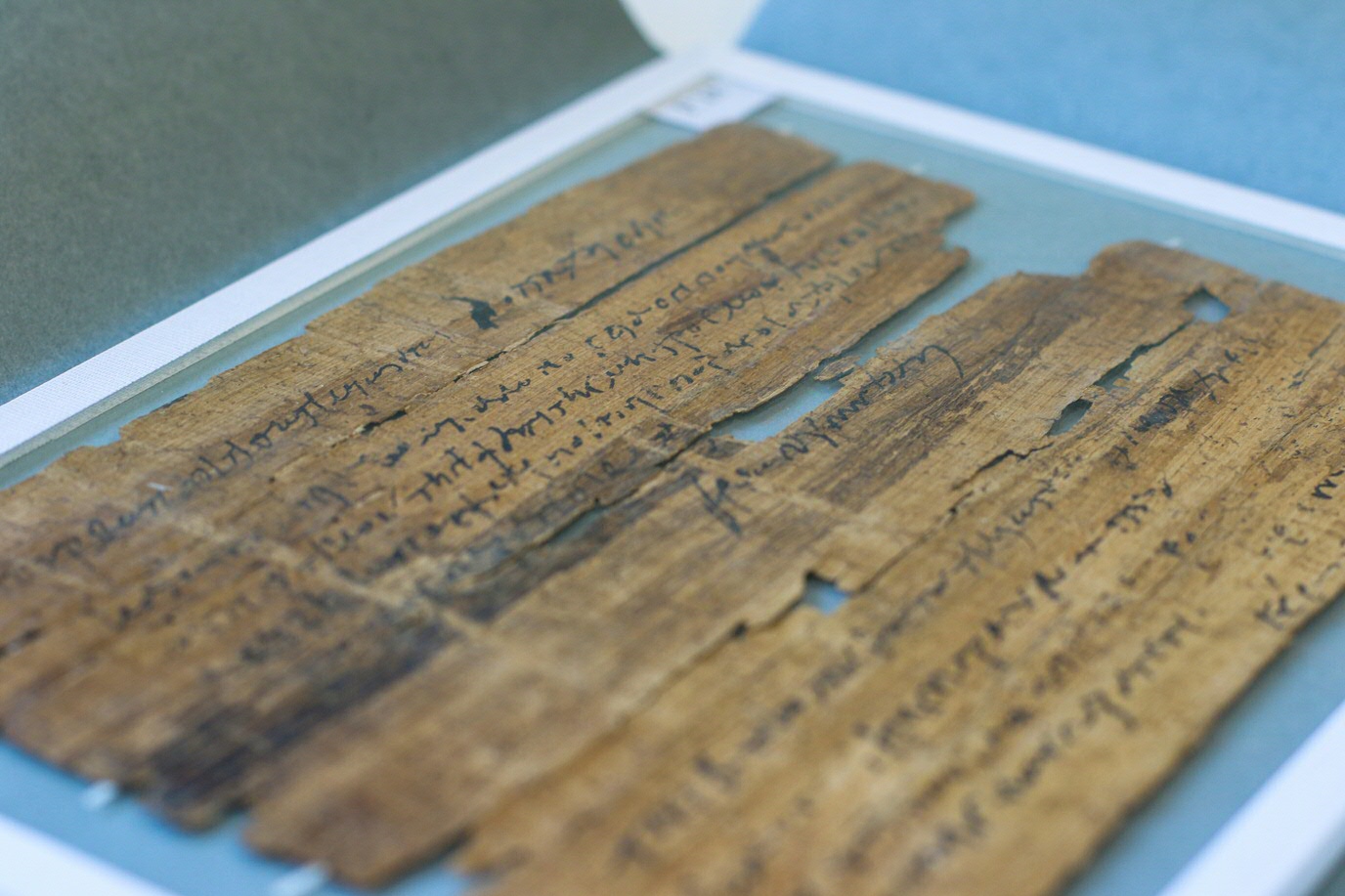 De UB heeft 127 papyrusfragmenten, waaronder dit exemplaar uit de 2e eeuw, waarin ene Turbo schrijft over het transport van de mummie van zijn moeder.The University Library holds 127 papyrus snippets, including this one from the 2nd century AD, in which an author named Turbo writes about the transportation of his mummified mother.
