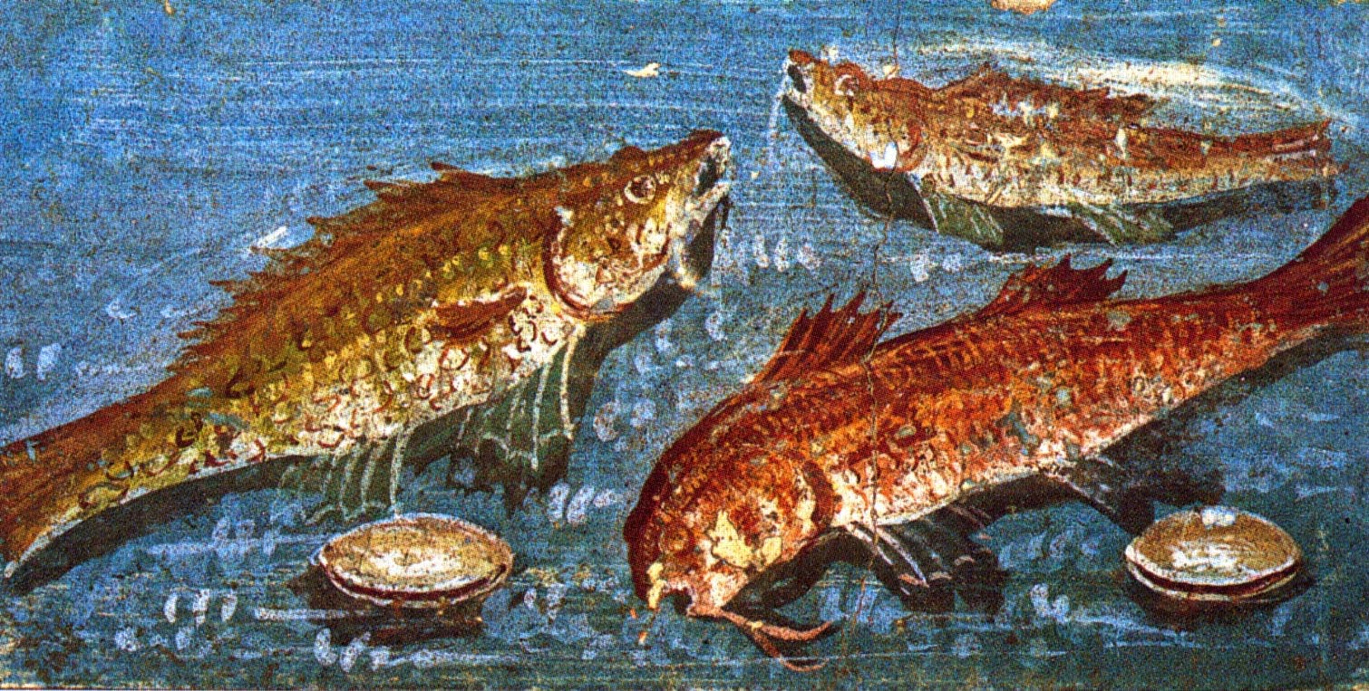 Pompeii Fresco of Fish and Muscles, Casa dei Casti Amanti
