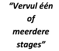 "Vervul een of meerdere stages"